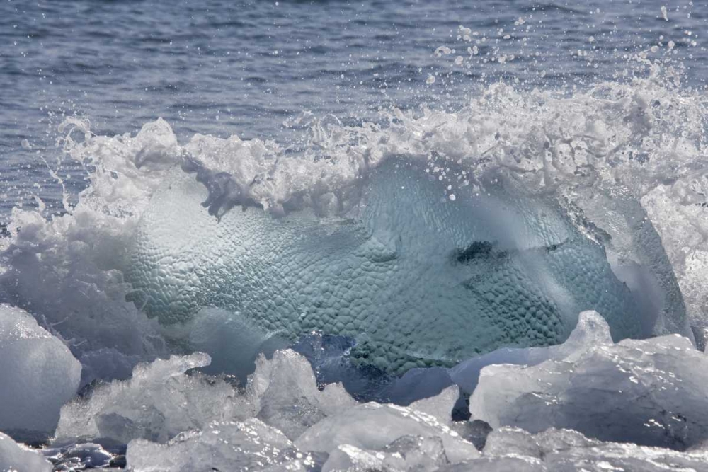 South Georgia Isl, Wirik Bay Wave on the beach